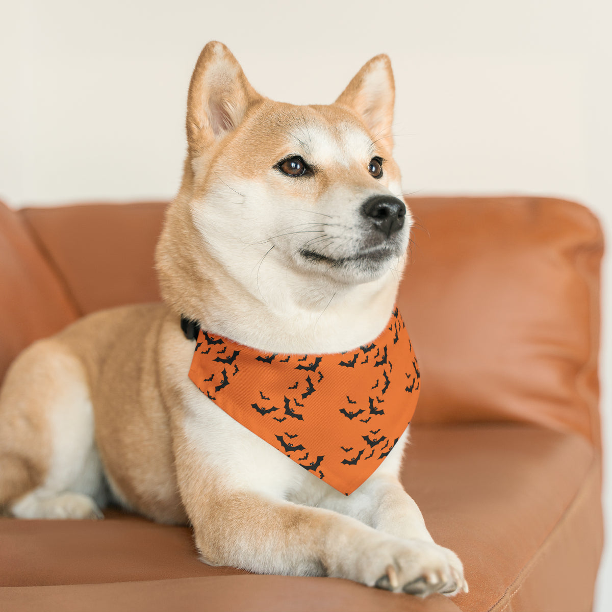Halloween Bats Pet Bandana Collar