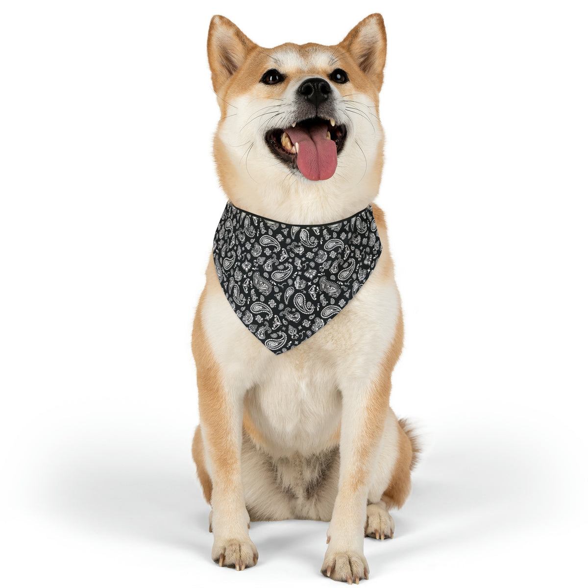 Black Paisley Pet Bandana Collar